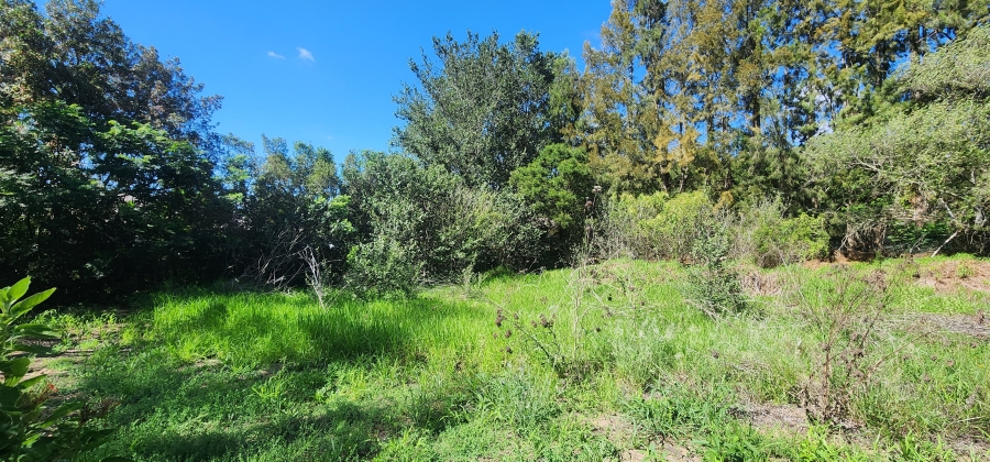 0 Bedroom Property for Sale in Swellendam Western Cape